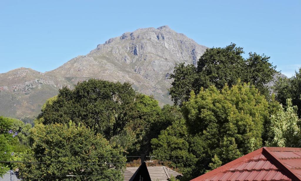 Oak Village B&B Stellenbosch Rum bild